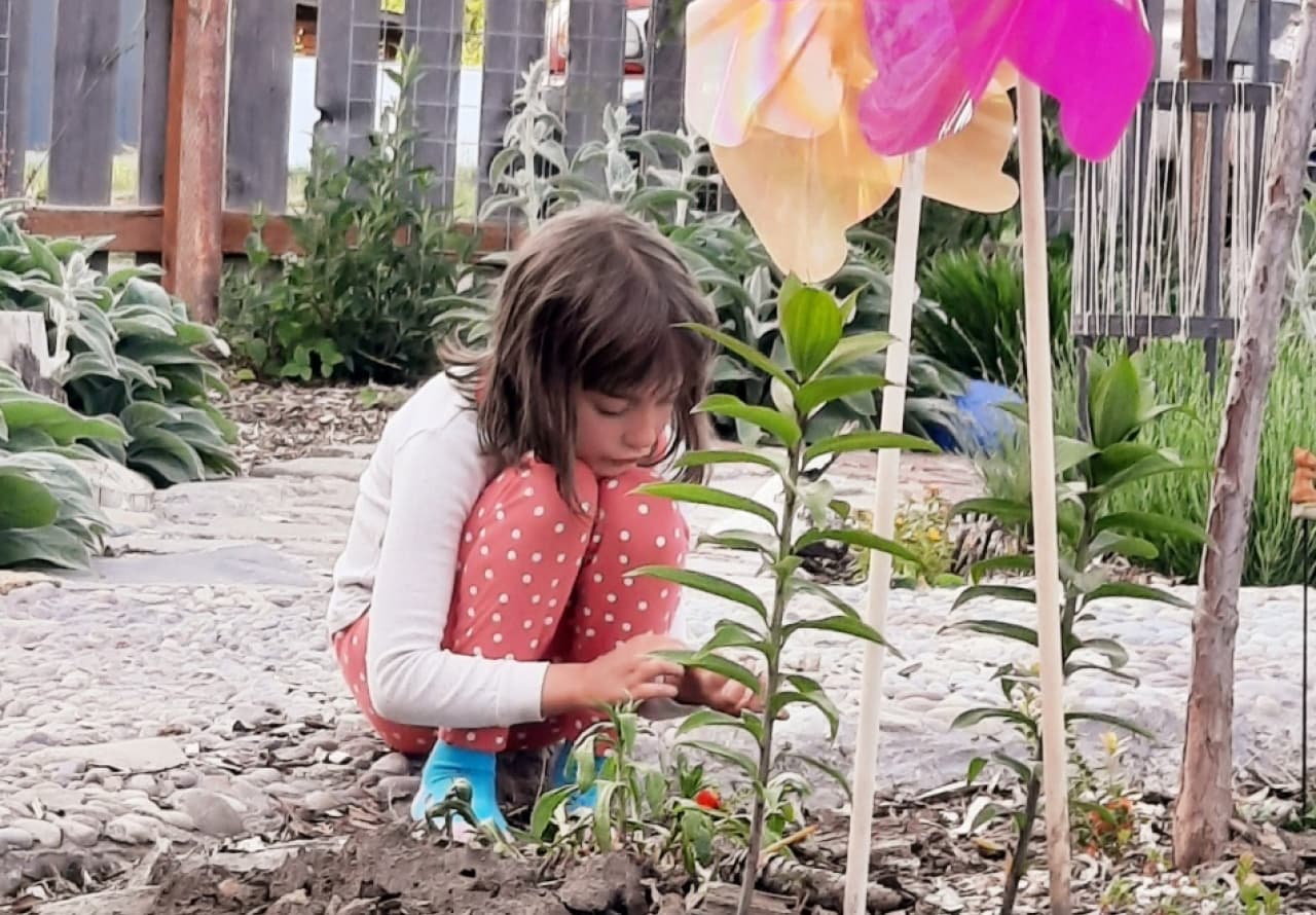 Child exploring flowers in a sensory-rich nature play space