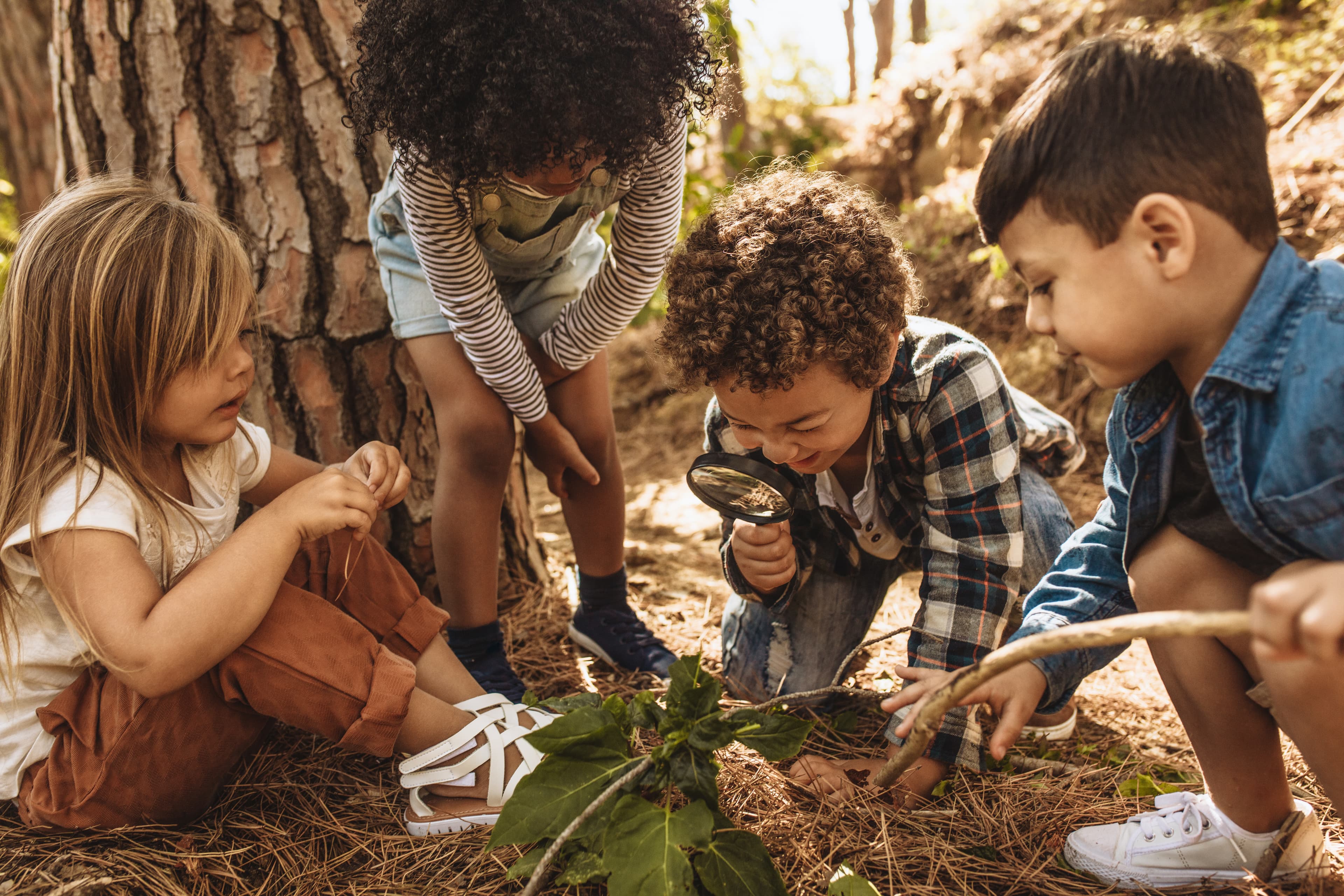 Child exploring leaves and nature through sensory play